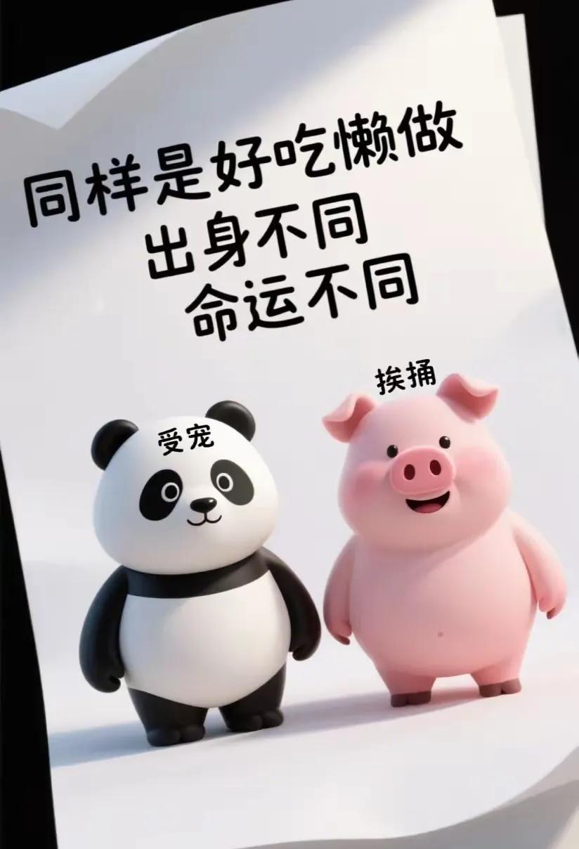 穿衣打扮很重要
你看一下
一个被人宠
一个被刀捅
一个人人爱
一个虽美但想抬脚踹