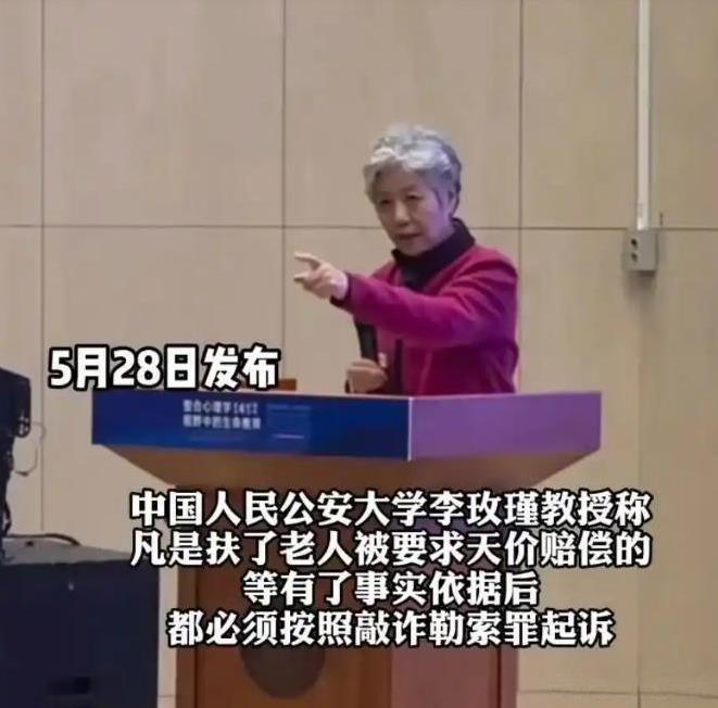 “不够判刑，那就高额罚款！”中国人大李玫瑾教授去年建议，凡是扶了老人被要求天价赔