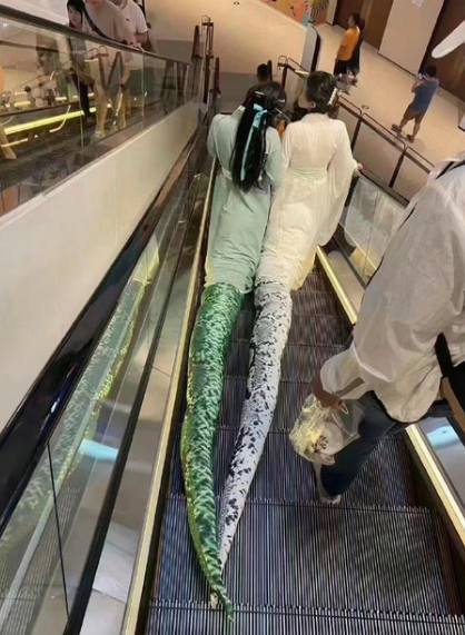 两条腿的恶人多的是