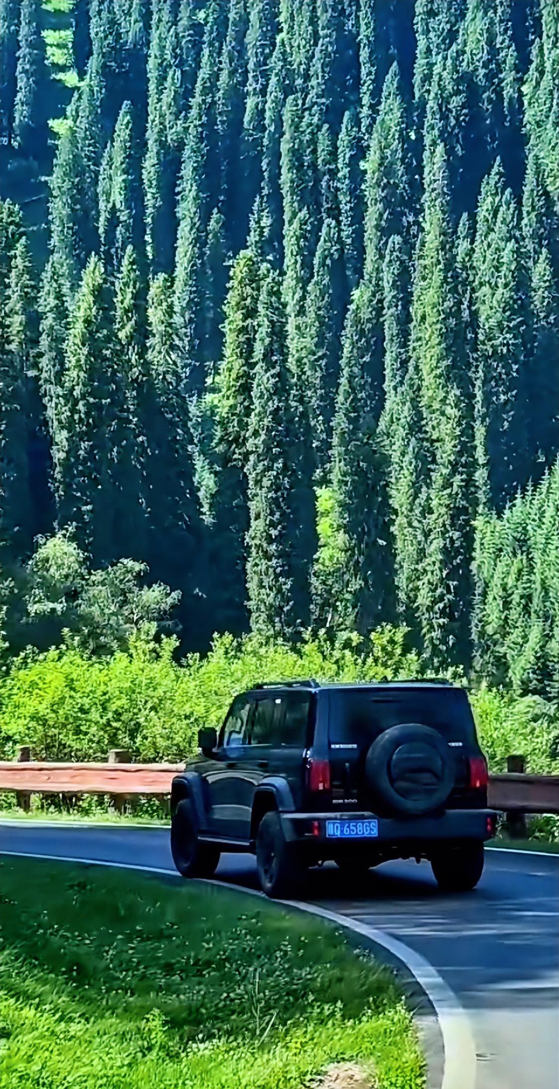 #你对人生有哪些感悟#
这一路跌跌撞撞，遇见形形色色的人，有些人走着走着就散了，