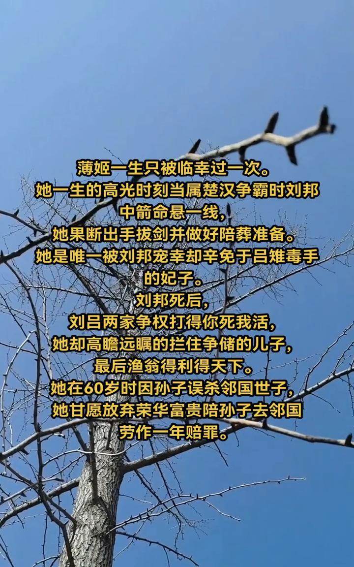 薄姬一生只被临幸过一次。她一生的高光时刻当属楚汉争霸时刘邦中箭命悬一线，她果断出