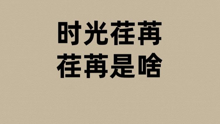 时光荏苒的荏苒是啥？