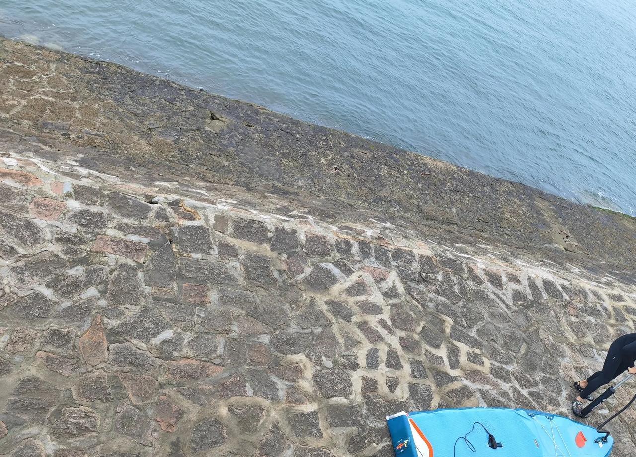 最近海水浴场的海蜇太多了。
大王游泳上来往地铁站走的时候给我电话，说这几天不能去