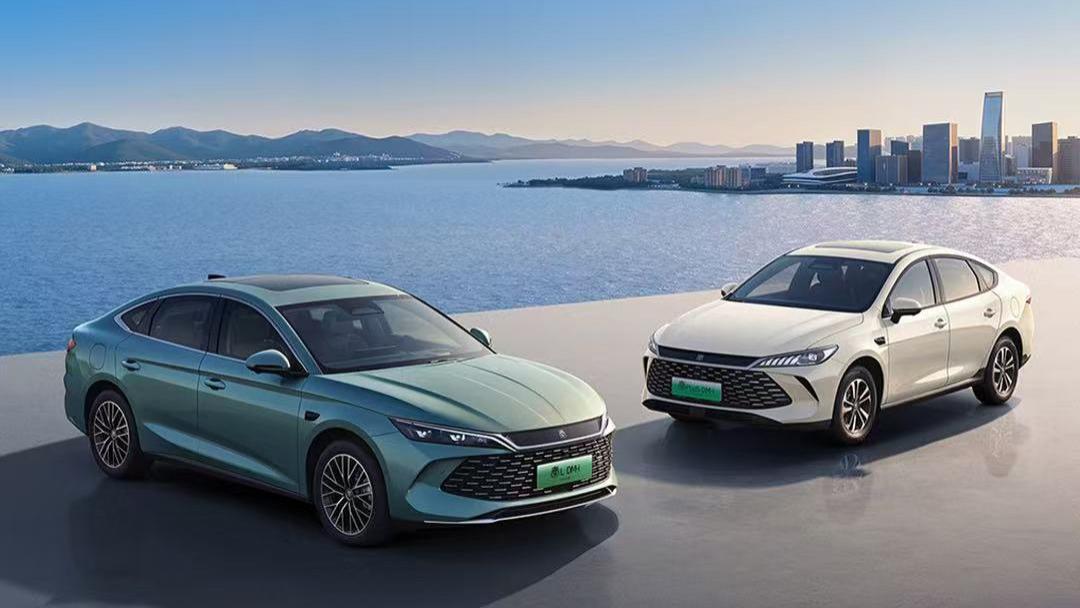 比亚迪、特斯拉率先出手！降低买车门槛+技术升级，等等党又赢了