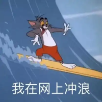 我在网上冲浪