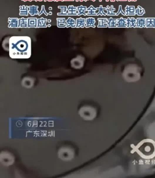 太恶心了
深圳一对情侣入住一家假日酒店

男子先去卫生间用洗了一个澡出来
