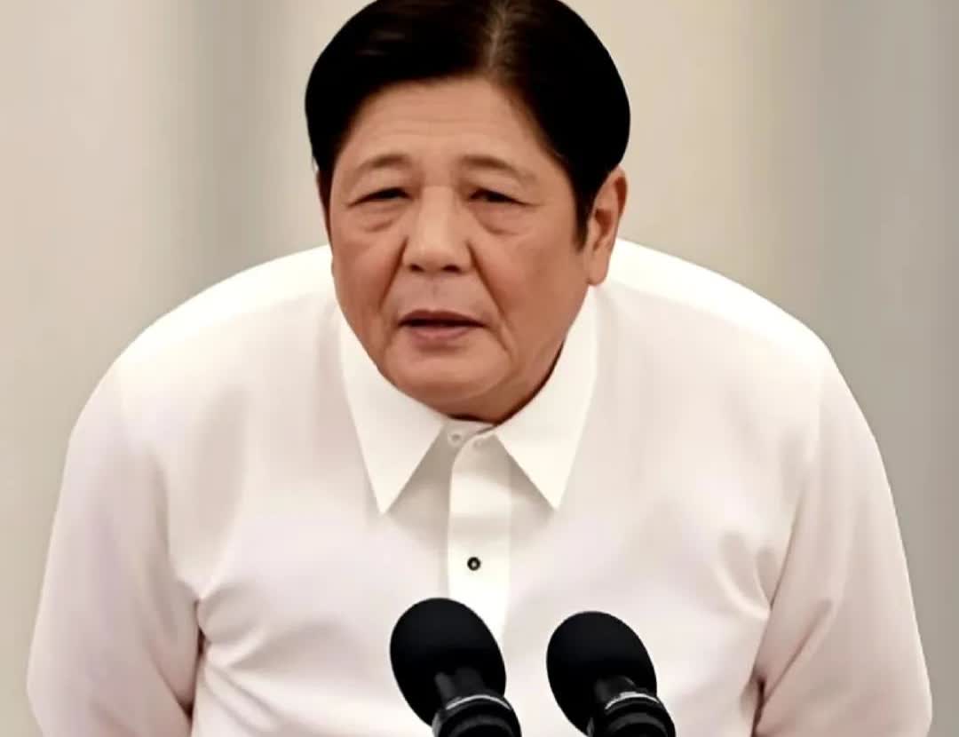 菲律宾就是个怂包！只会嘴硬！

小马科斯又在那叫嚣，邻居大国敢拖走菲律宾的船