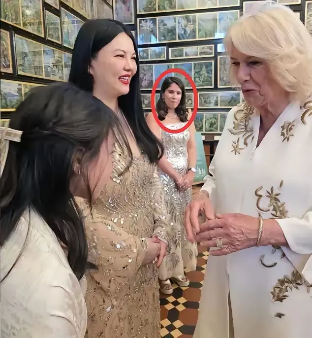 今天李湘的脸估计都黑了
​自己带着女儿参加英国皇室聚会。
​本以为能得到大家的羡