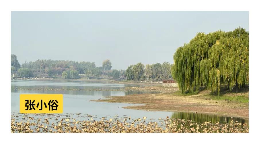 穷人的冬天，很难体面。