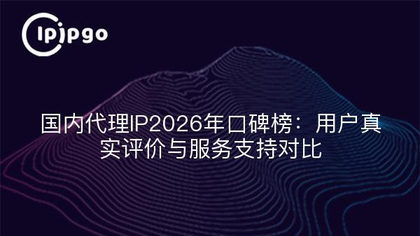 国内代理IP2026年口碑榜：用户真实评价与服务支持对比