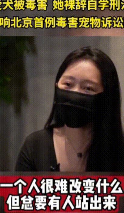为爱犬讨公道，女子辞职追凶

北京朝阳区畅颐园小区，上演了一场“狗界版悬疑大案”
