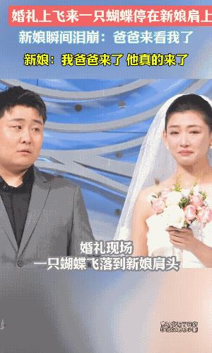 女儿是爸爸的贴心小棉袄。这正好似她的爸爸化成了蝴蝶，冲破了一道又一道看似不可冲破