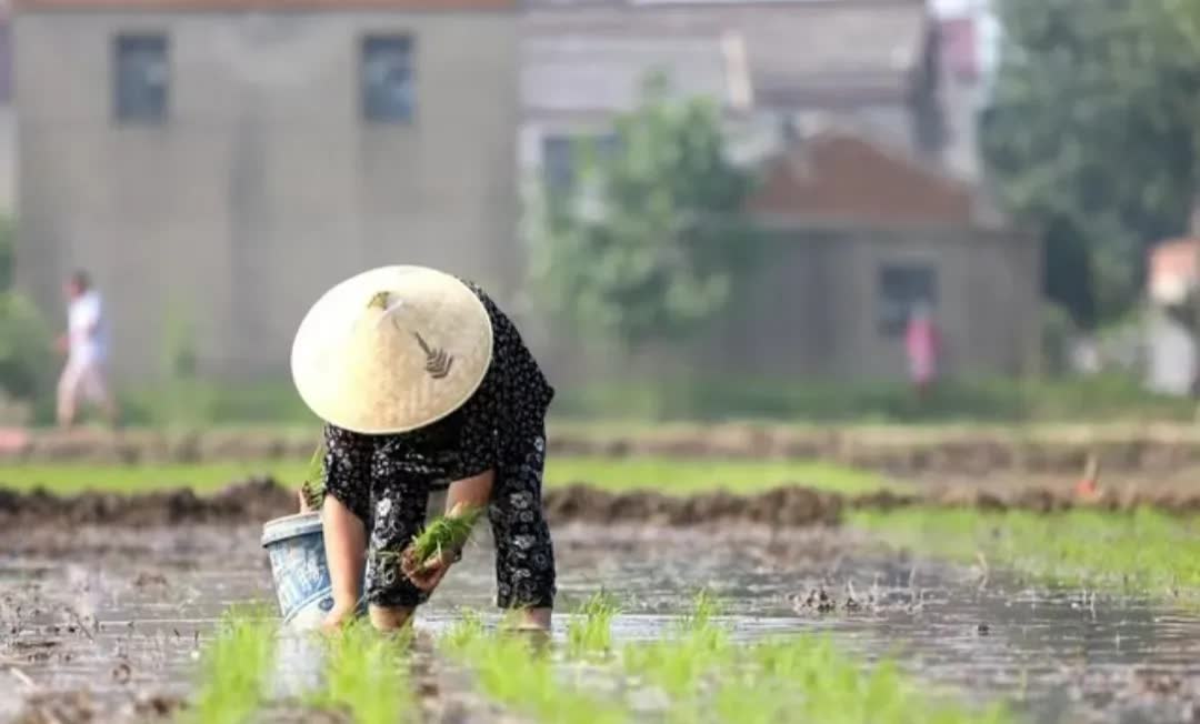 我常常感慨，人各有命这话太对了
