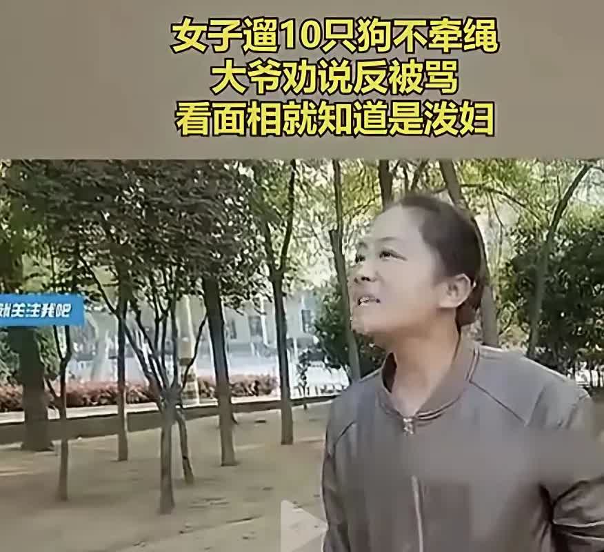 一名女子养了十条狗，在公共场合遛狗不牵绳，大爷劝说它牵绳，这女的就一直追着大爷喊