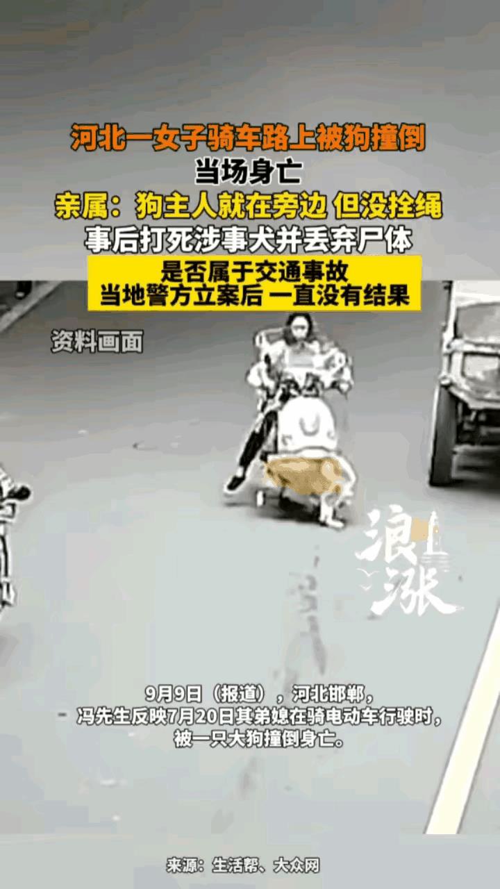 这个事故太惨了！河北，女子骑电瓶车直行，一条大狗突然从侧面横穿马路，把女子连车带