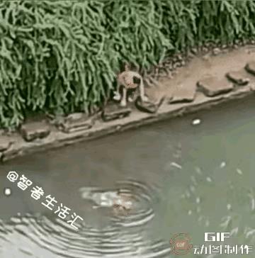 不会游泳的老大姐，能够冒着生命危险救出落水儿童，值得点赞，更值得敬重。这要是换成