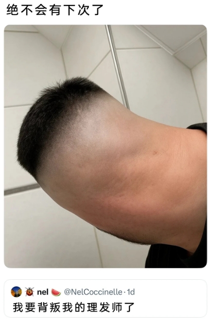 绝不会有下次了