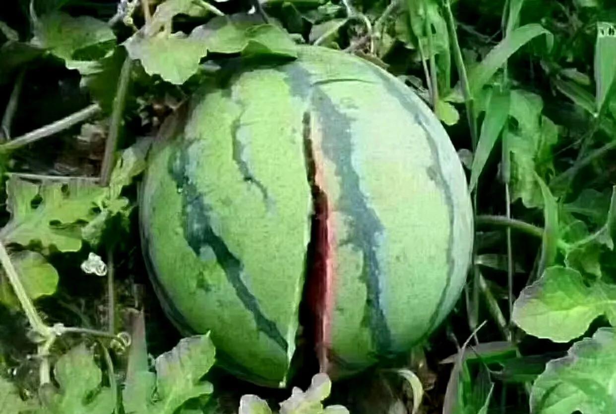 成熟的表现就是想开了。