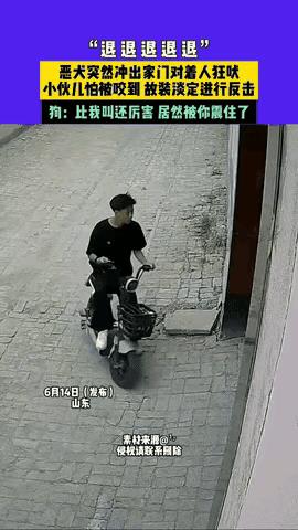 对付恶犬不能靠喊，还得靠打狗棍！
农村养狗的人都知道，狗不咬自家人，但对于陌生人