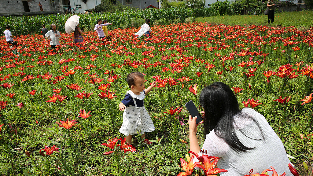年轻妈妈怎么不生娃了