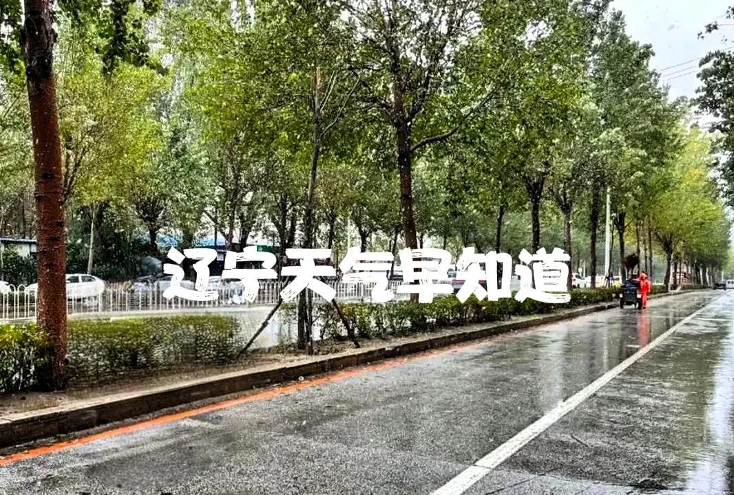 辽宁的朋友注意了！今天是8月5号星期二大家早上好！今天还有雨，体感真是凉快……