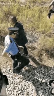 去内蒙古一趟，列车停靠目的地伊东站。下车简直不敢相信自己的眼睛，像被半路丢在了荒