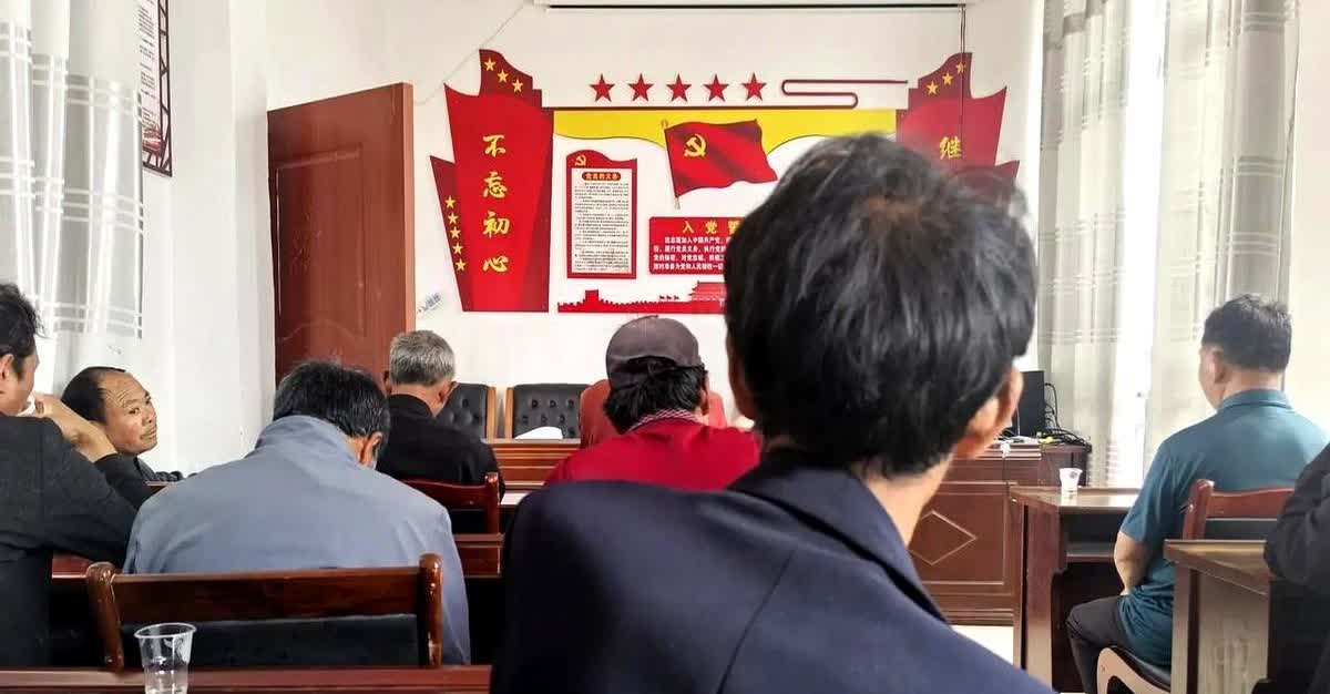 村党员大会到场不到半数，年轻人都在外打工，年老病弱难参与。

村里前天开了党
