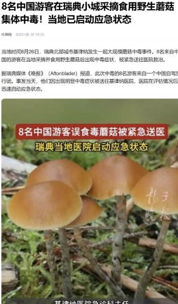 8名中国游客，在瑞典集体蘑菇中毒，结果把瑞典城市医院搞崩溃了。
8名中国游客在瑞
