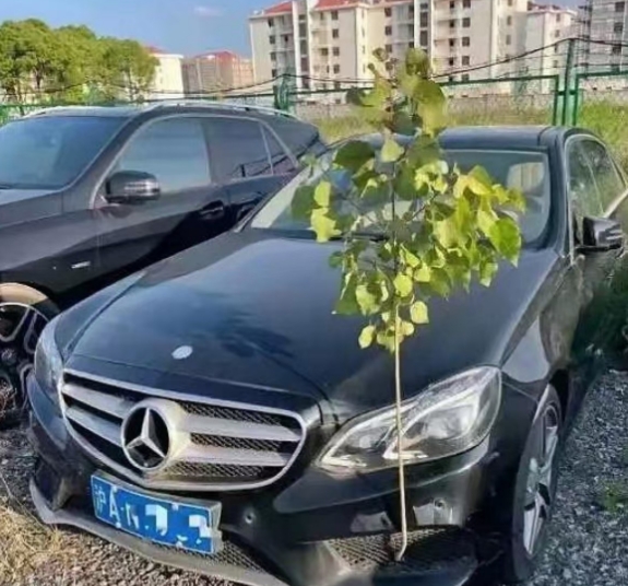 强者从不抱怨环境