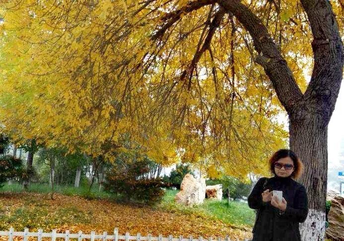 #分享手机里随手拍的风景相片#