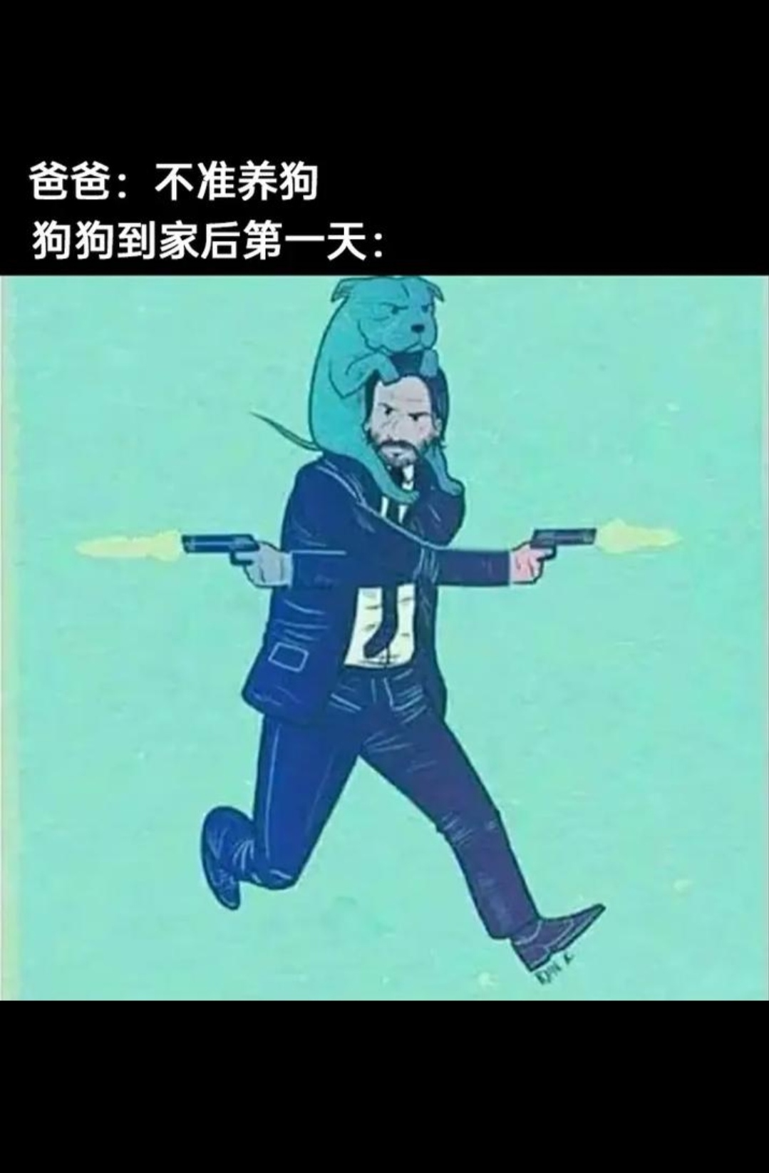 这还是我那只狗狗嘛
