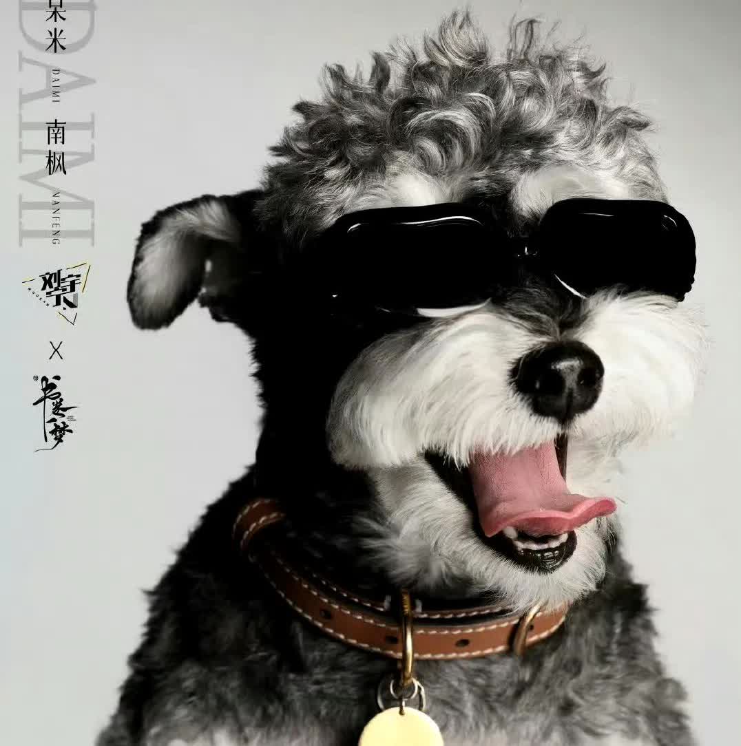 刘宇宁家的小狗，刘呆米，
又出来营业了。
经纪人刘宇宁帮它接了第一个角色，
