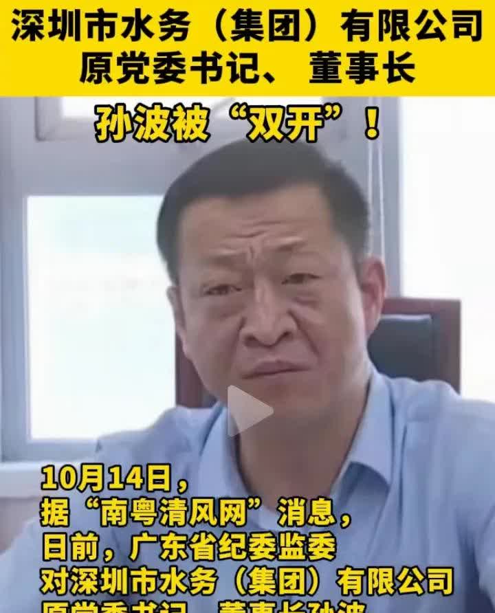 又挖出一个水耗子，武汉大学博士，深圳水务集团董事长孙波被双开！