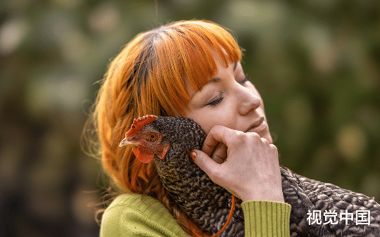 冻死重生！他当众拆穿寡妇偷鸡阴谋，全院惊掉下巴，结局太解气！