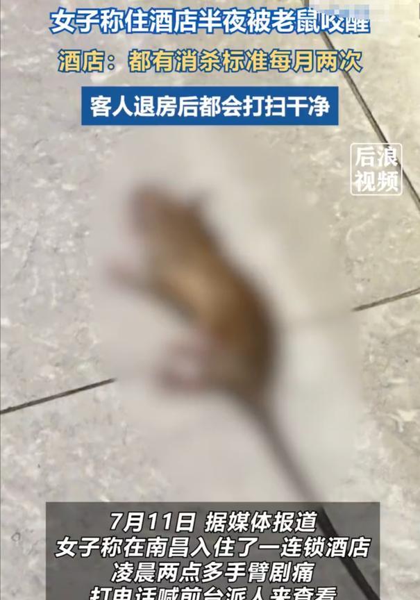 “太吓人了！”长沙女子入住酒店，深夜刚睡着就感觉手臂一阵剧痛，睁眼一看居然看到一