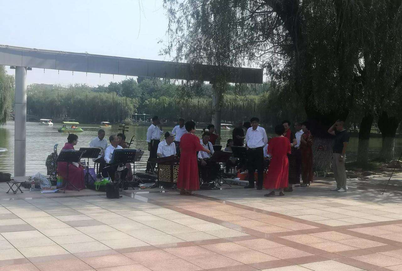 老年生活也乐呵
#秋日生活打卡季#
看见公园里有一群很有组织的老年歌唱团，他们看
