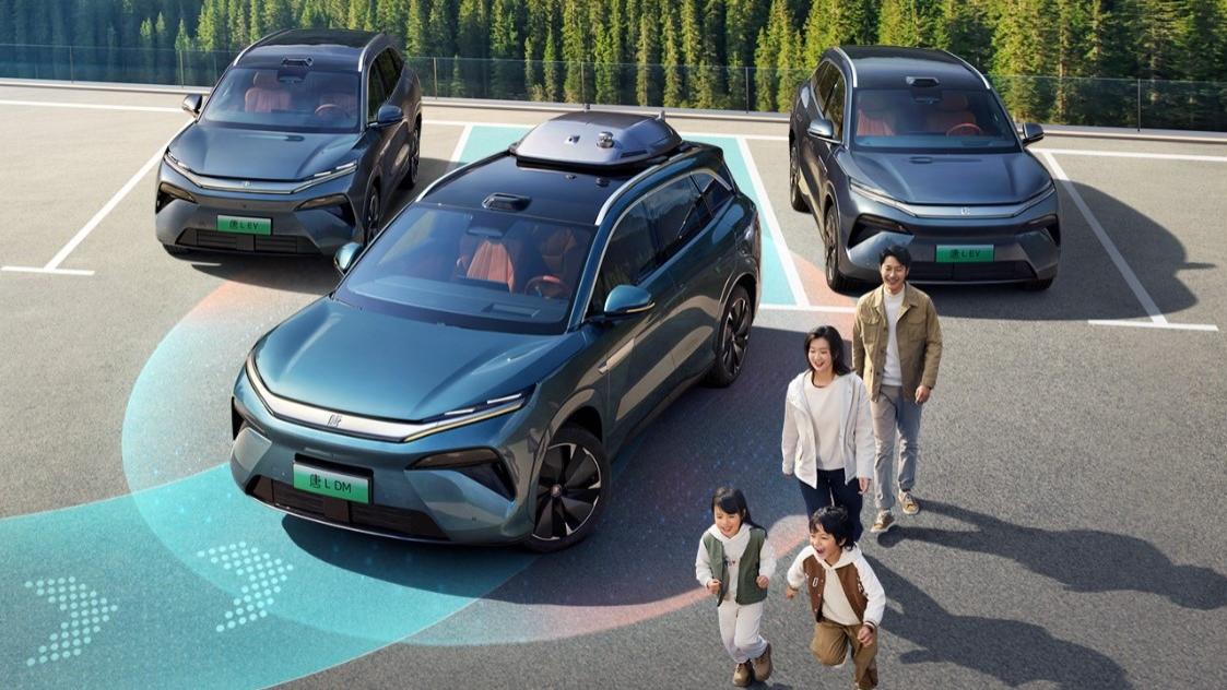 比亚迪，为智能泊车兜底：全球唯一做到媲美L4级智能泊车