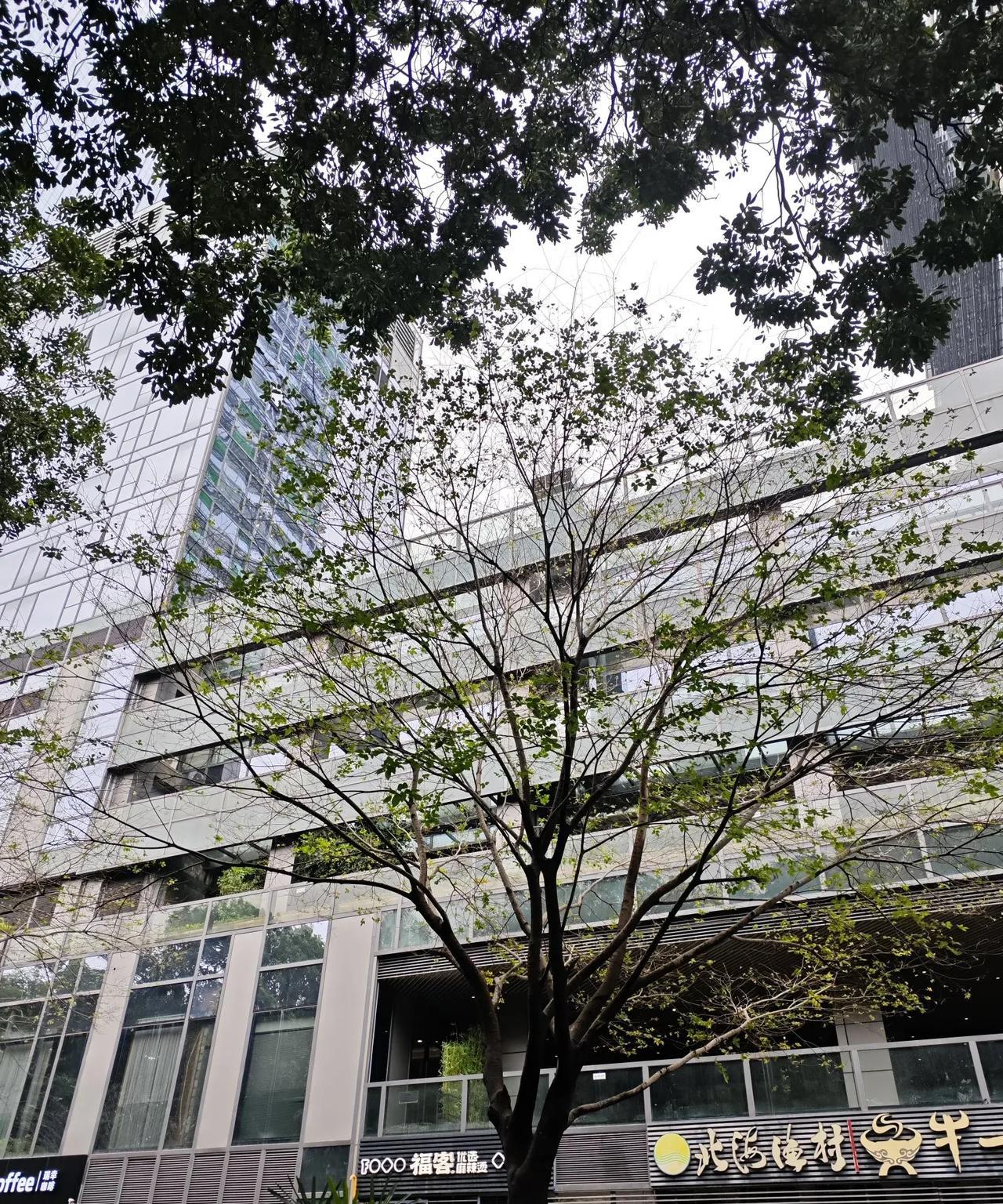 大家发现美国官员的一个共同点了吗？就是上台胡说八道，下台全是实话。
你还别说美国