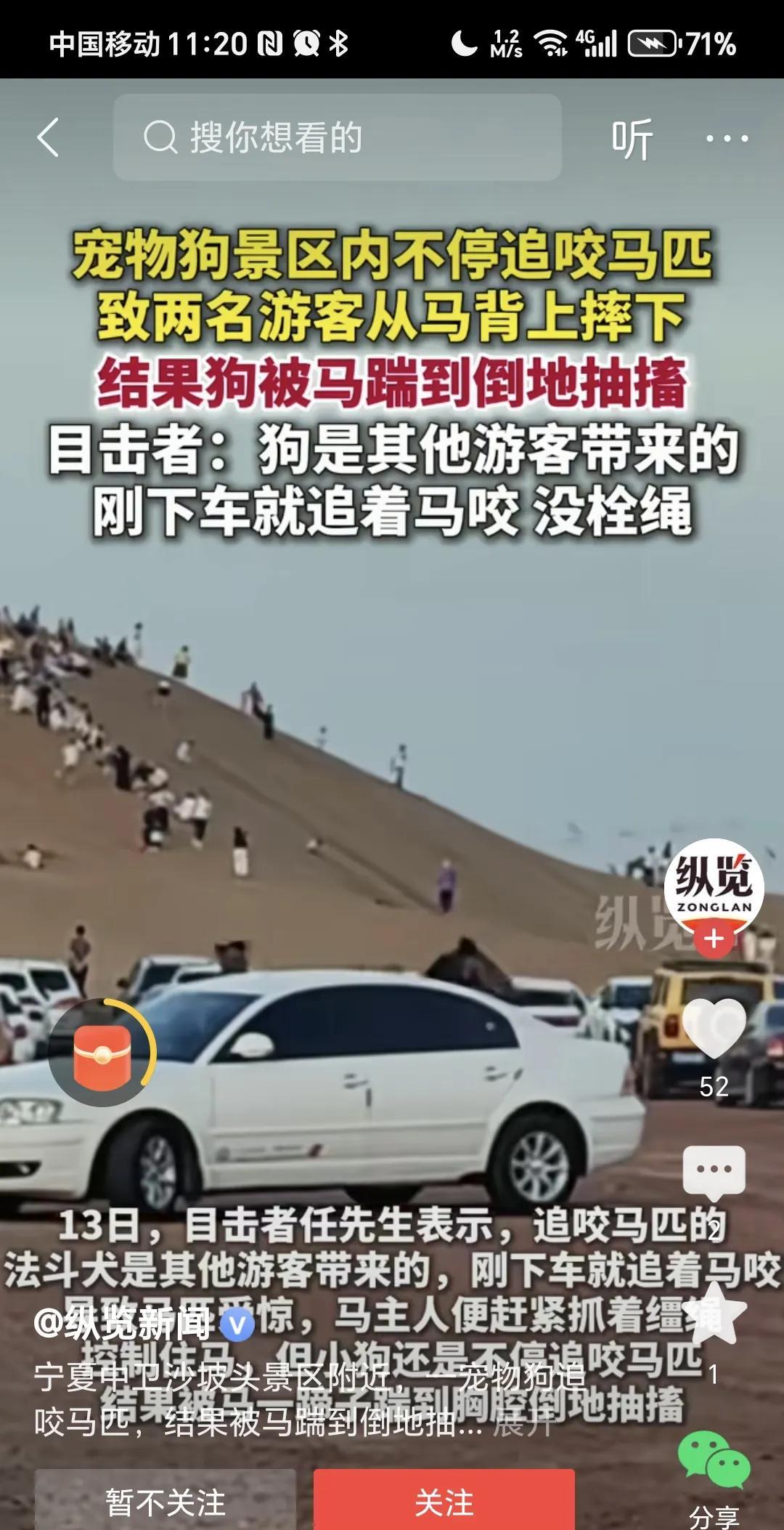 狗不拴绳景区内追咬马，导致两名游客摔落马下。
消息来自纵览新闻发布的视频。说是追