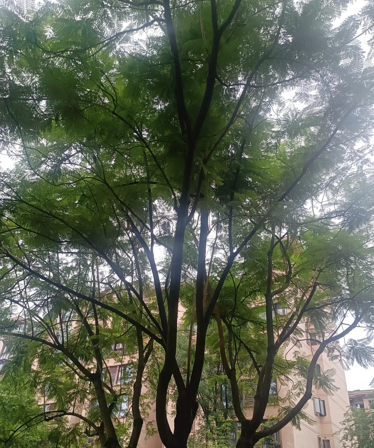 没正儿八经工作的男生，不管你长多帅，和体制内女生、恋爱和结婚后，结局十有八九都是