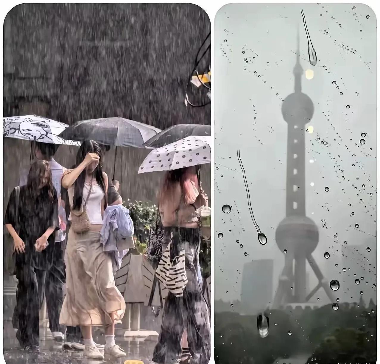 没搞明白这个声音怎么形成的？第一次在上海感受台风，虽不吓人，但很惊人。
住在酒店