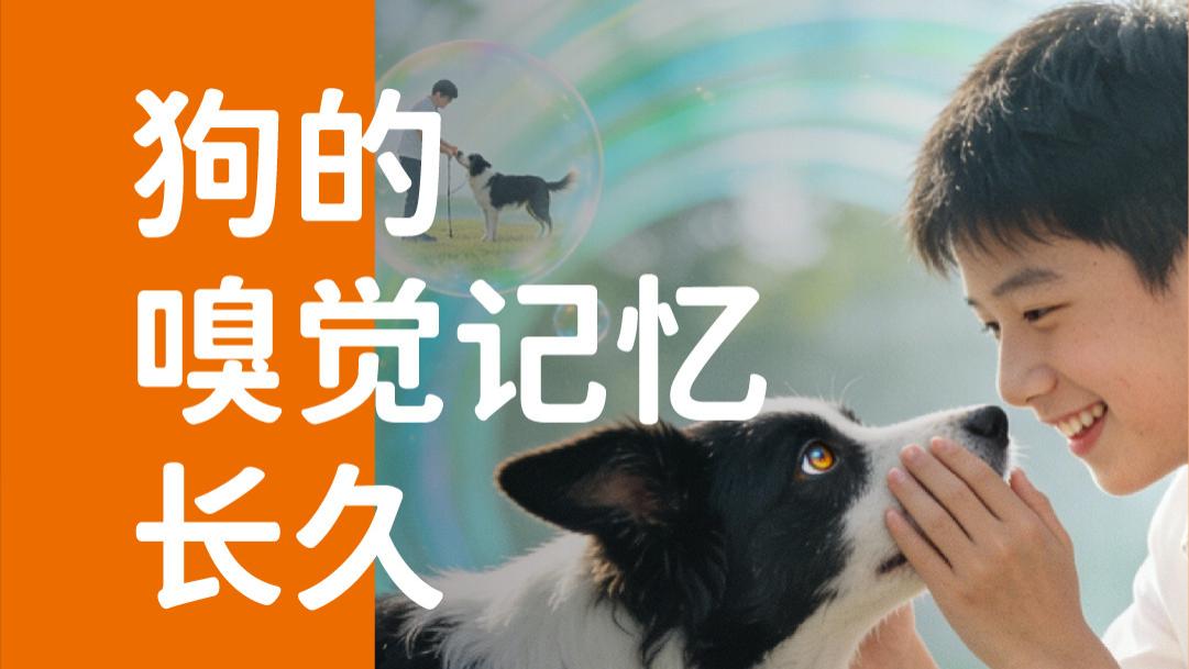 象乡宠物食品 | 狗的嗅觉记忆长久