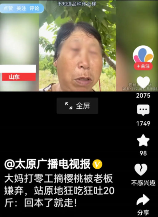 一位大妈被老板请去摘樱桃，一到园地，大妈就一个劲的吃樱桃，老板看见后就说了大妈，
