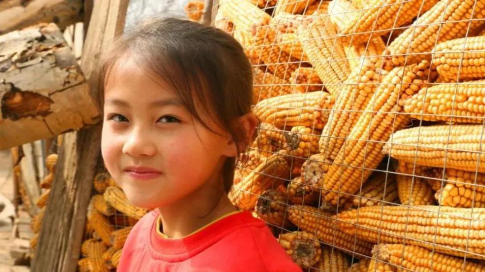 后不后悔？宁夏那个一笑成名拒绝百万签约的小女孩，现在成了这样。宁夏一个女孩的视频