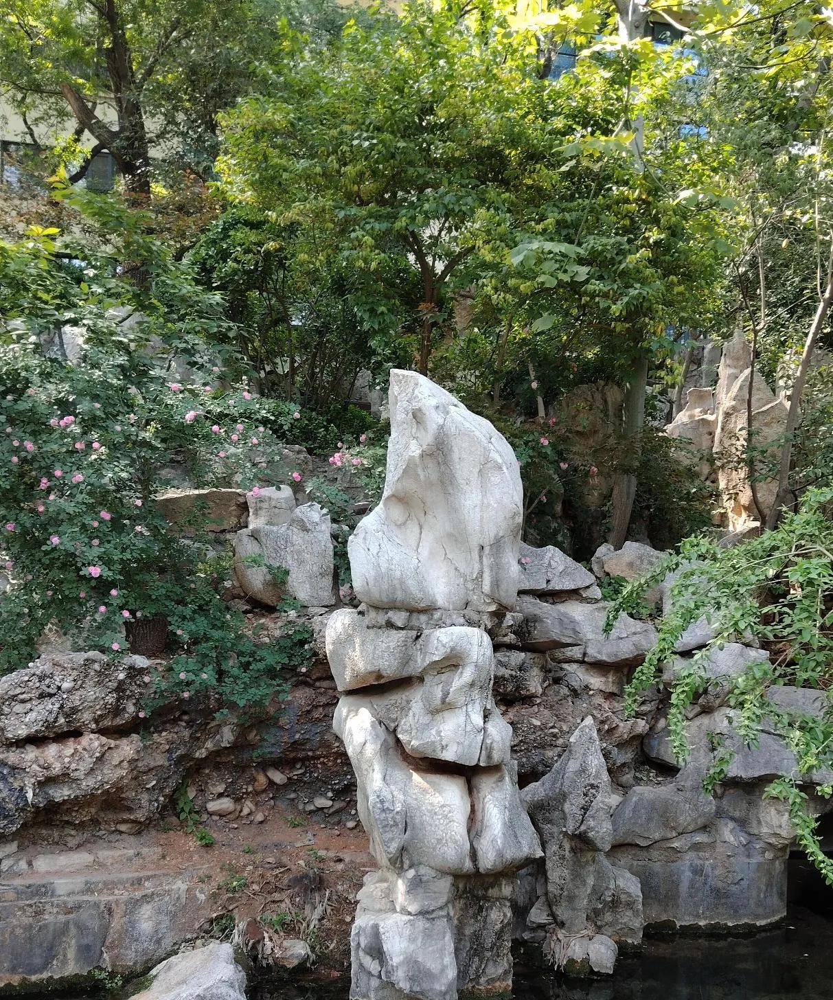 #晒图笔记大赛#