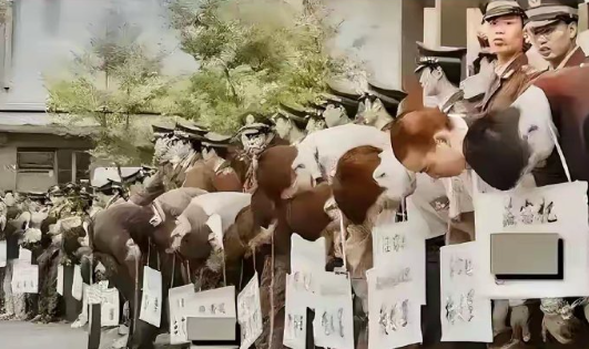 1983年的这张照片，记录的是唐山菜刀队被枪毙的场景。当时，镜头里50名被判死刑