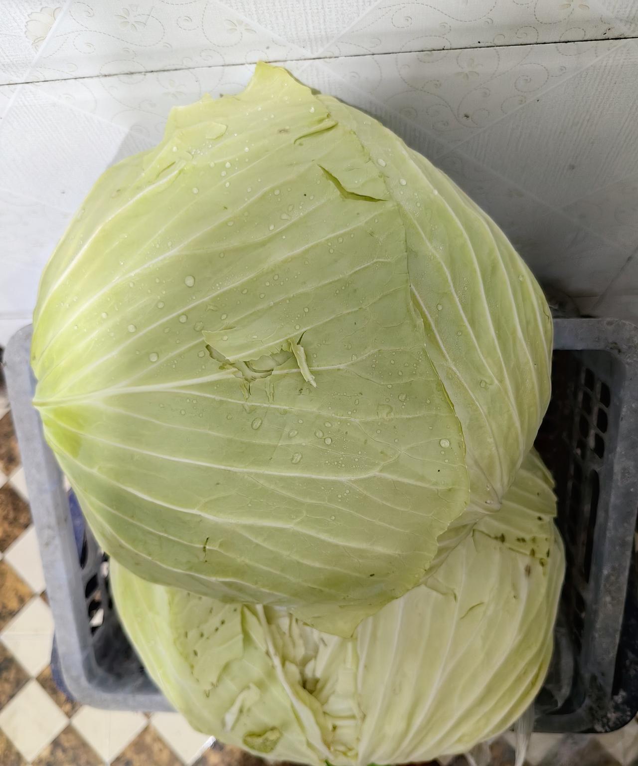 今天又“好为人师”了。吃过饭在外面转悠遇到两个妈妈带三个孩子在放鞭炮，走近一看，