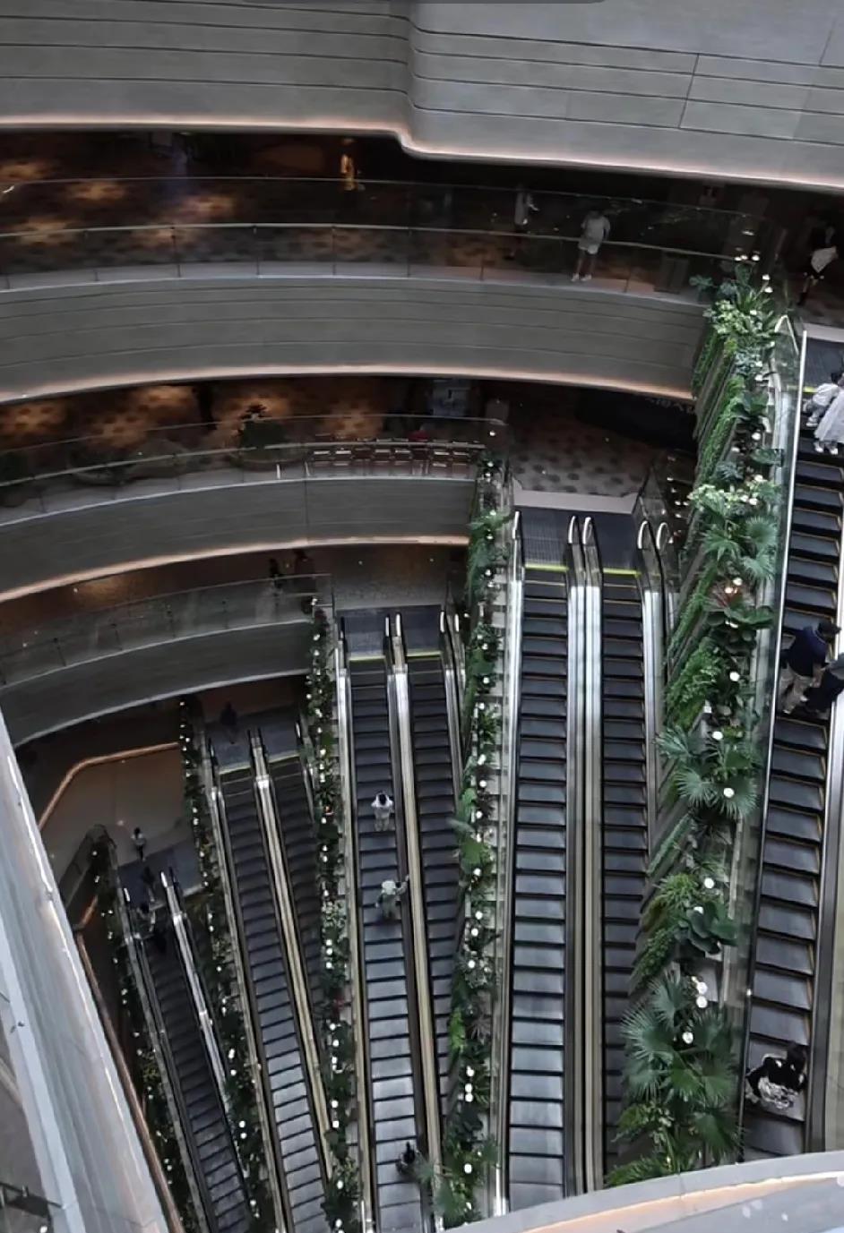 原来在国内也看到这种电梯