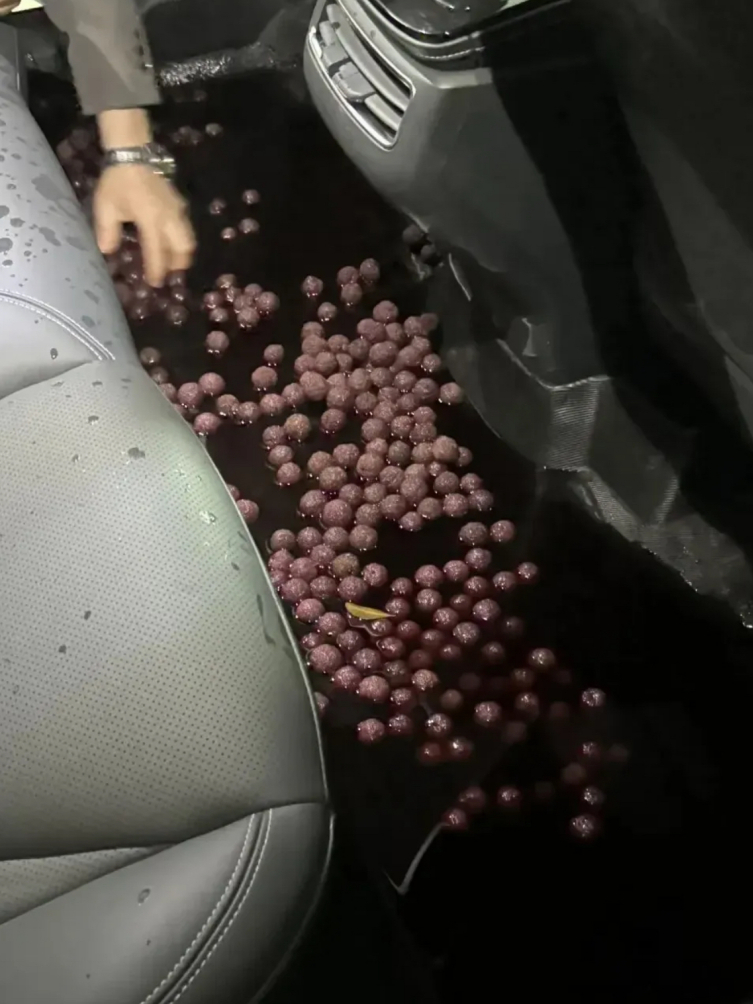 杨梅酒打翻在车里了，要怎么清洗呀？