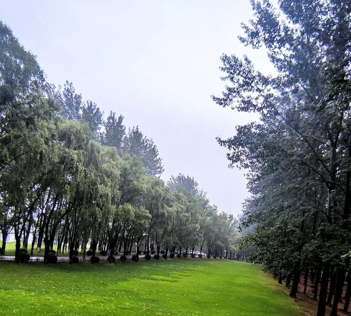 #拍拍身边风景#
